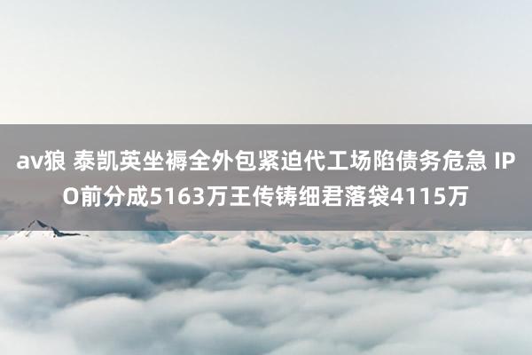 av狼 泰凯英坐褥全外包紧迫代工场陷债务危急 IPO前分成5163万王传铸细君落袋4115万