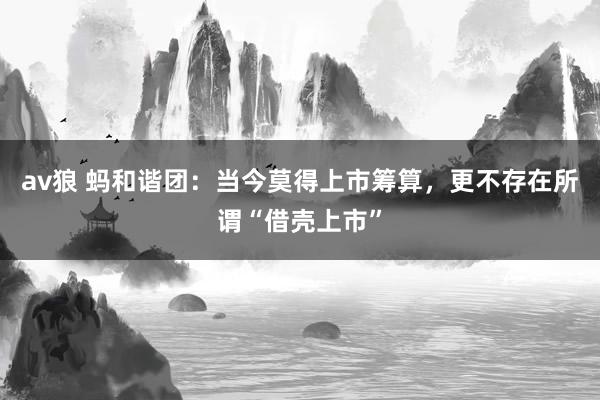 av狼 蚂和谐团：当今莫得上市筹算，更不存在所谓“借壳上市”