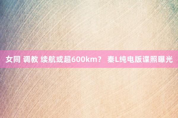 女同 调教 续航或超600km？ 秦L纯电版谍照曝光