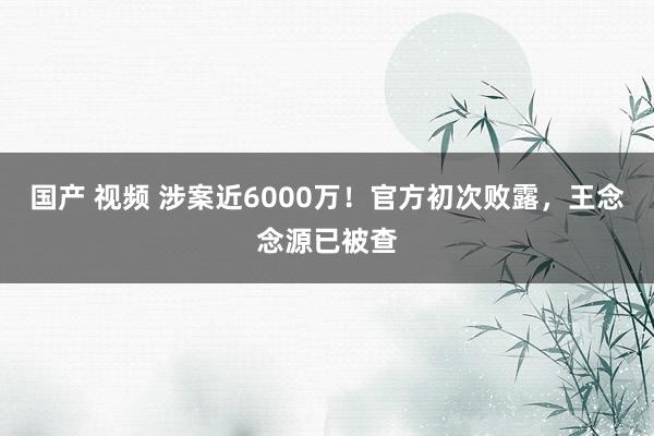 国产 视频 涉案近6000万！官方初次败露，王念念源已被查