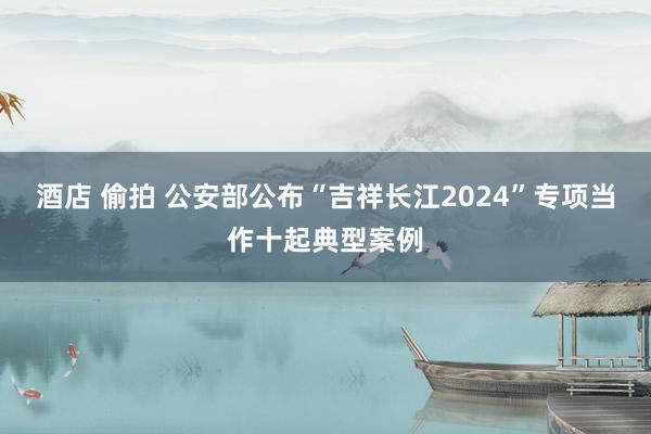 酒店 偷拍 公安部公布“吉祥长江2024”专项当作十起典型案例