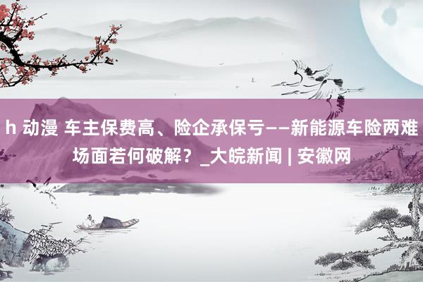 h 动漫 车主保费高、险企承保亏——新能源车险两难场面若何破解？_大皖新闻 | 安徽网