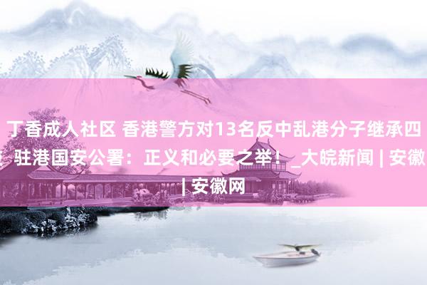 丁香成人社区 香港警方对13名反中乱港分子继承四肢  驻港国安公署：正义和必要之举！_大皖新闻 | 安徽网