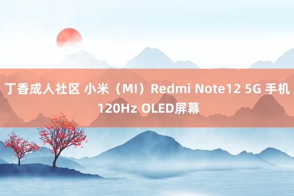 丁香成人社区 小米（MI）Redmi Note12 5G 手机 120Hz OLED屏幕