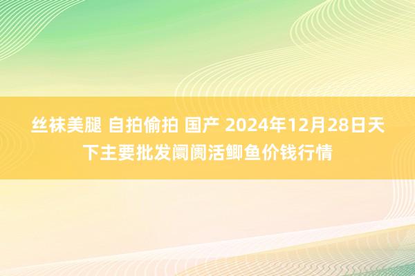 丝袜美腿 自拍偷拍 国产 2024年12月28日天下主要批发阛阓活鲫鱼价钱行情