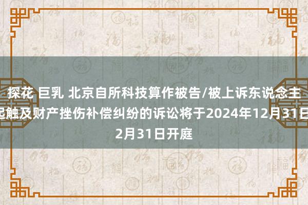 探花 巨乳 北京自所科技算作被告/被上诉东说念主的1起触及财产挫伤补偿纠纷的诉讼将于2024年12月31日开庭