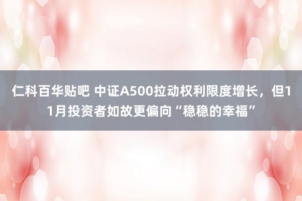 仁科百华贴吧 中证A500拉动权利限度增长，但11月投资者如故更偏向“稳稳的幸福”