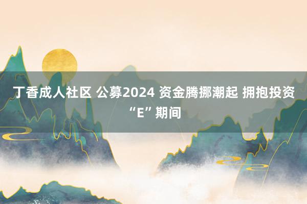 丁香成人社区 公募2024 资金腾挪潮起 拥抱投资“E”期间