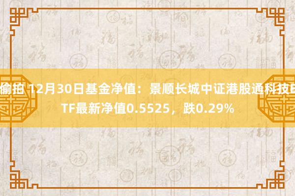 偷拍 12月30日基金净值：景顺长城中证港股通科技ETF最新净值0.5525，跌0.29%