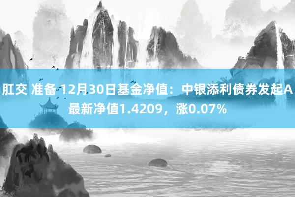 肛交 准备 12月30日基金净值：中银添利债券发起A最新净值1.4209，涨0.07%