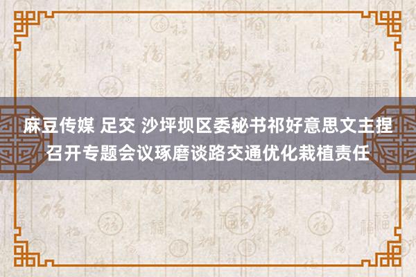 麻豆传媒 足交 沙坪坝区委秘书祁好意思文主捏召开专题会议琢磨谈路交通优化栽植责任