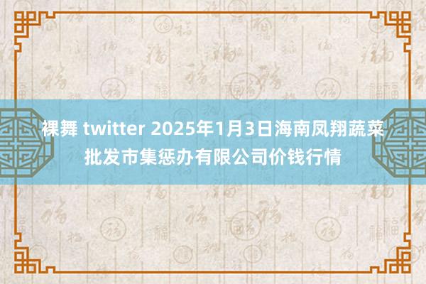 裸舞 twitter 2025年1月3日海南凤翔蔬菜批发市集惩办有限公司价钱行情