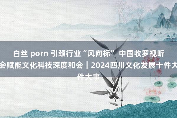 白丝 porn 引颈行业“风向标” 中国收罗视听大会赋能文化科技深度和会｜2024四川文化发展十件大事