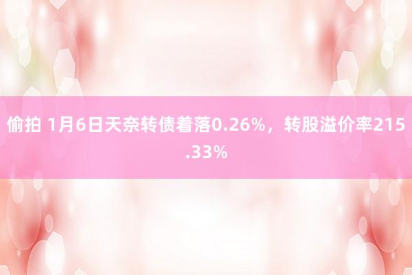 偷拍 1月6日天奈转债着落0.26%，转股溢价率215.33%