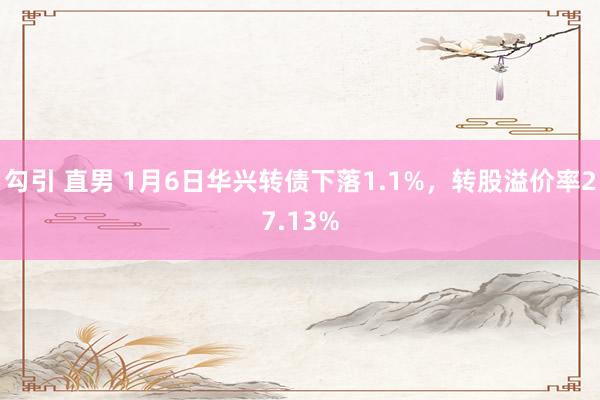 勾引 直男 1月6日华兴转债下落1.1%，转股溢价率27.13%