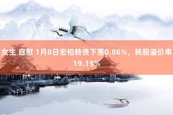 女生 自慰 1月8日宏柏转债下落0.86%，转股溢价率19.19%