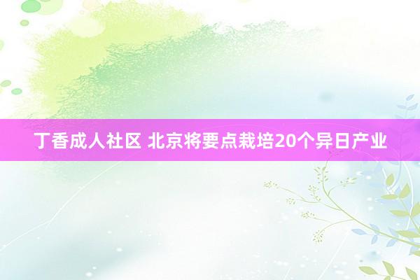 丁香成人社区 北京将要点栽培20个异日产业